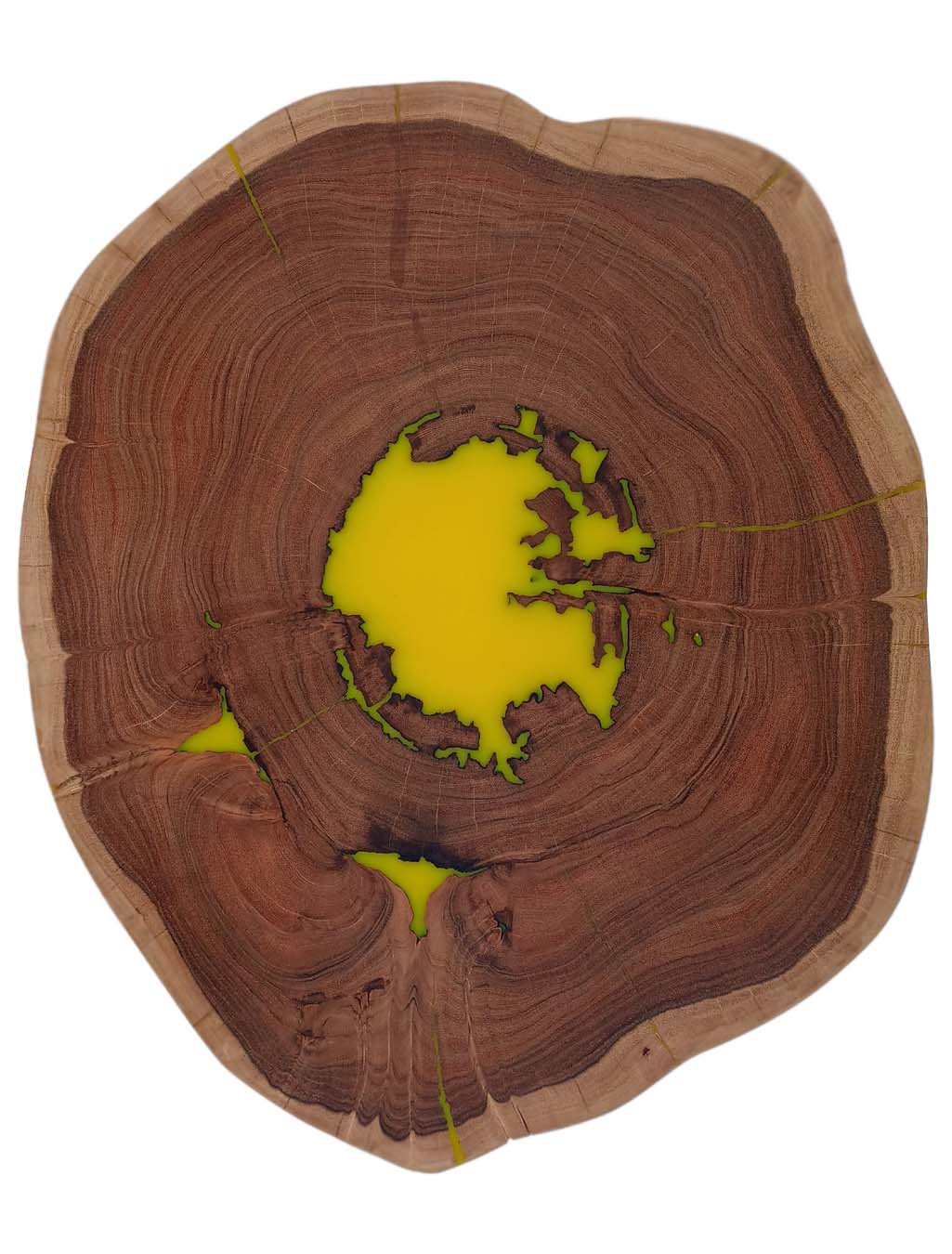 Round Solid Wood Live Edge Coffee Table with Hairpin Legs