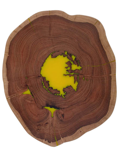 Round Solid Wood Live Edge Coffee Table with Hairpin Legs